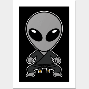 Karate Gray Alien Extraterrestrial Dark Gi Posters and Art